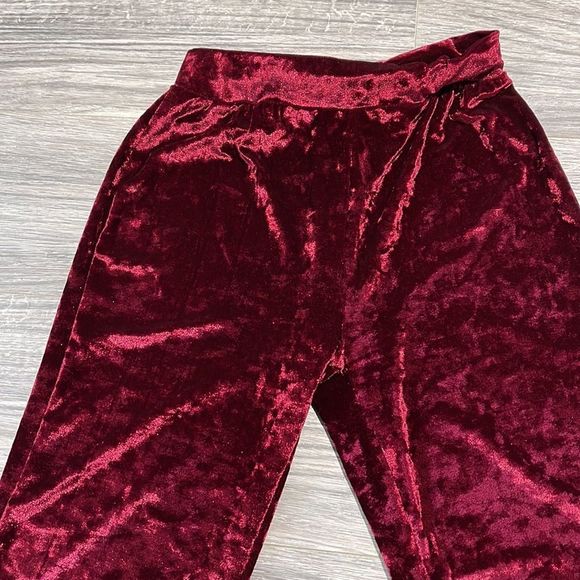 Elegant Velvet Wide Leg Pants - Picture 3 of 4